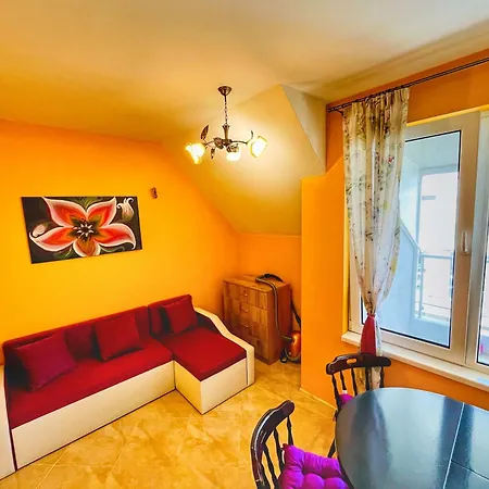 Family 17 Pomorie